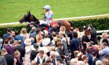 Hot To Trot: Follow the Doctor