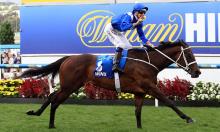 Cox Plate Preview: Another for Winx?