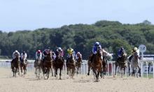 Hot To Trot: Tell Me All is no secret for Sir Mark Prescott