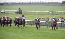 Rowleyfile Preview: Old Rowley Cup 