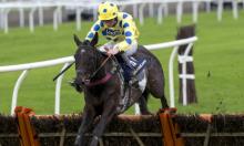 Hot To Trot: Venetia back among the winners