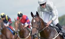 Ebor Festival Preview: Five handicappers to follow