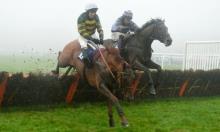 Champion Hurdle: King charge Worth a look