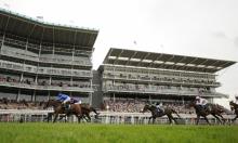 York Ebor Meeting 2016: Ebor Handicap runner-by-runner