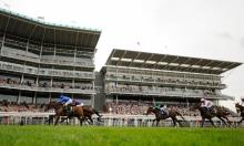 Hot To Trot: Walker on a run