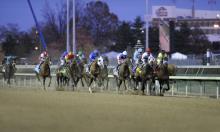 Jamie Lynch: Jumping to America